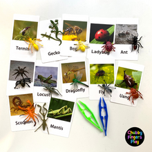 Load image into Gallery viewer, iSPY Creepy Crawly Set