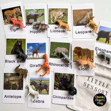 Load image into Gallery viewer, iSpy Animal Safari Set
